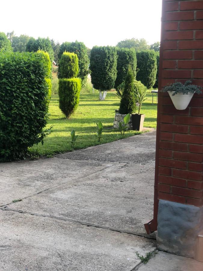 Apartmani Morava 54 Kocino Selo 외부 사진
