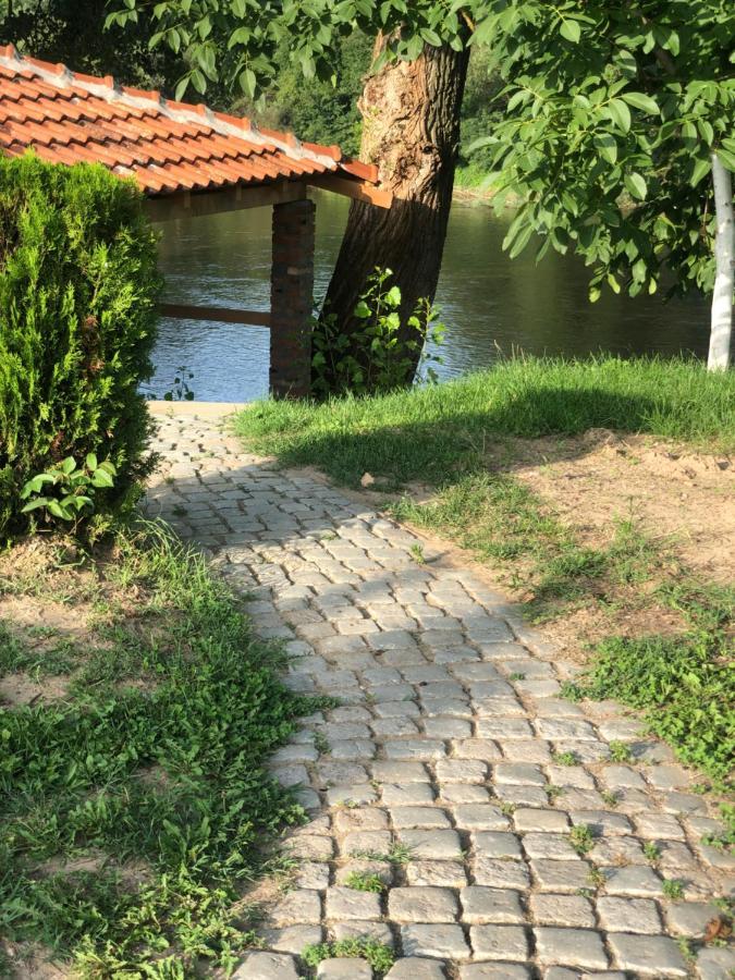 Apartmani Morava 54 Kocino Selo 외부 사진